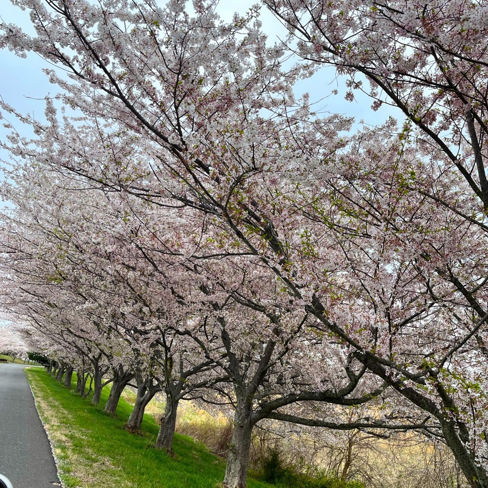 Meet your Posher, Momofthree ♡♡♡